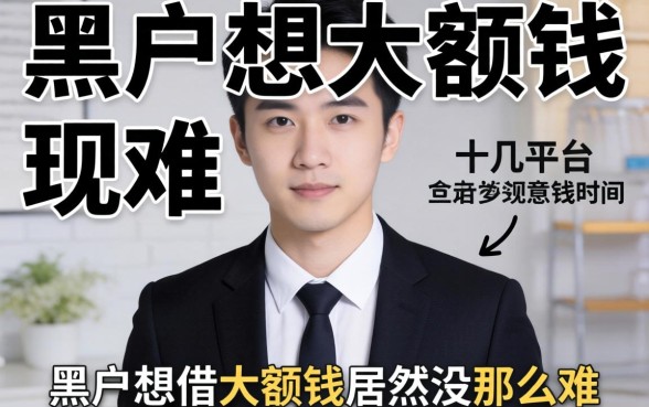 我试了十几个平台,发现黑户想借大额钱居然没那么难
