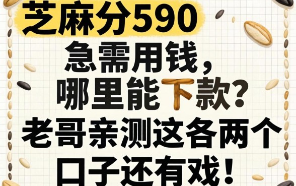 芝麻分590，急需用钱哪里能下款？老哥亲测这几个口子还有戏！