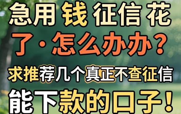 急用钱征信花了怎么办？求推荐几个真正不查征信能下款的口子！