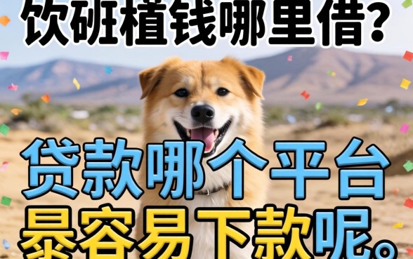 急需用钱哪里借？贷款哪个平台最容易下款呢看这篇