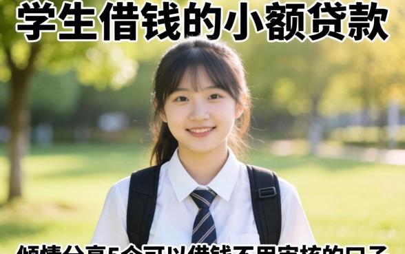 适合学生借钱的小额贷款，倾情分享5个可以借钱不用审核的口子