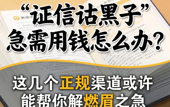 征信黑了急需用钱怎么办？这几个正规渠道或许能帮你解燃眉之急