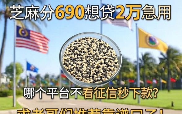 芝麻分690想贷2万急用，哪个平台不看征信秒下款？求老哥们推荐靠谱口子！