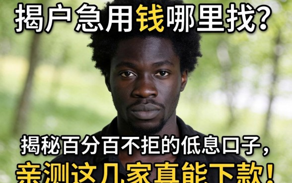 黑户急用钱哪里找？揭秘百分百不拒的低息口子，亲测这几家真能下款！