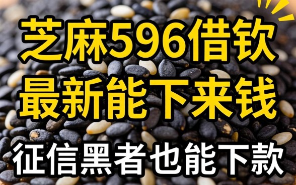 我试了芝麻596借钱和最新能下来钱的app，发现征信黑户也能下款