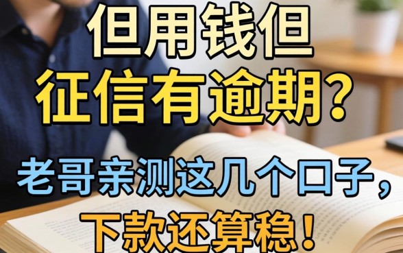 急用钱但征信有逾期？老哥亲测这几个口子，下款还算稳！