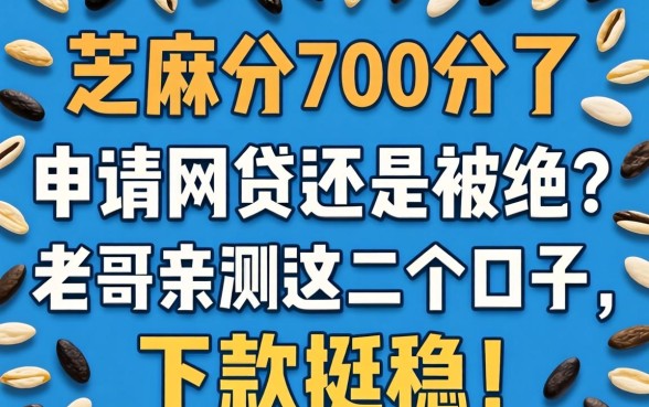芝麻分700分了，申请网贷还是被拒？老哥亲测这几个口子，下款挺稳！
