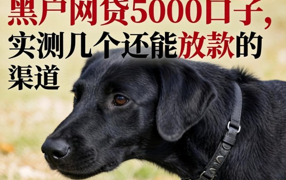 黑户网贷5000口子：实测几个还能放款的渠道