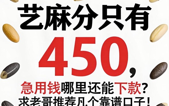 芝麻分只有450，急用钱哪里还能下款？求老哥推荐几个靠谱口子！