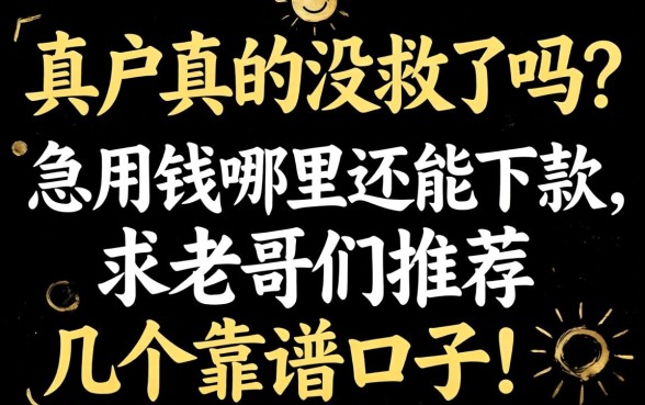 黑户真的没救了吗?急用钱哪里还能下款,求老哥们推荐几个靠谱口子!