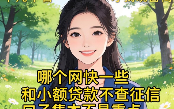 我试了十几个平台才发现，哪个网快一些和小额贷款不查征信的口子根本不是重点