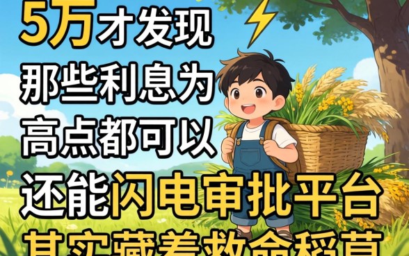 我借了5万才发现,那些利息高点都可以还能闪电审批的平台,其实藏着救命稻草
