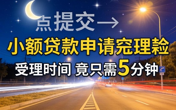我半夜3点提交了小额贷款申请受理时间竟只需5分钟