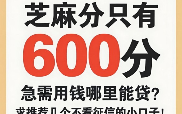 芝麻分只有600分，急需用钱哪里能贷？求推荐几个不看征信的小口子！
