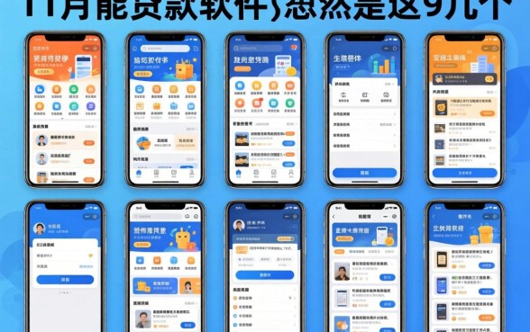 我试了十几个平台，发现11月能贷款的软件居然是这几个