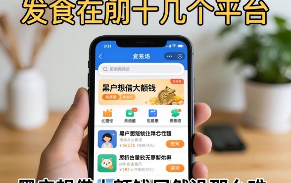 我试了十几个平台,发现黑户想借大额钱居然没那么难