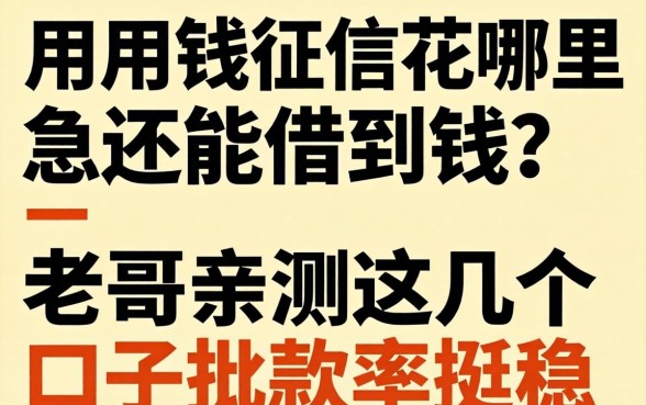 急用钱征信花哪里还能借到钱？老哥亲测这几个口子批款率挺稳
