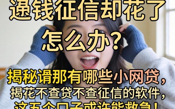 急需用钱征信却花了怎么办？揭秘有哪些小网贷不查征信的软件，这五个口子或许能救急！