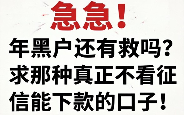 急急急！2026年黑户还有救吗？求那种真正不看征信能下款的口子！