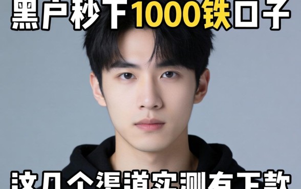 揭秘黑户秒下1000块的口子，这几个渠道实测有下款