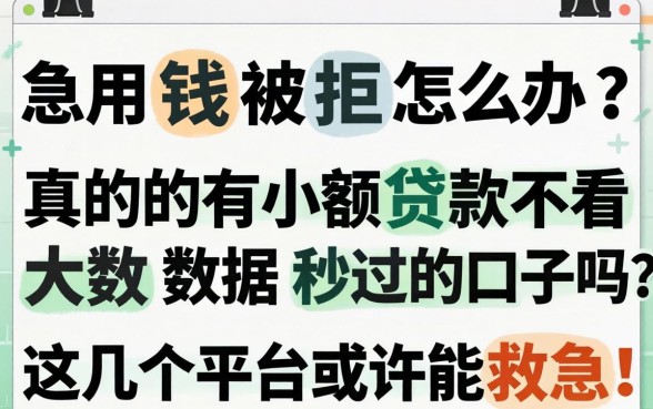 急用钱被拒怎么办？真的有小额贷款不看大数据秒过的口子吗？这几个平台或许能救急！