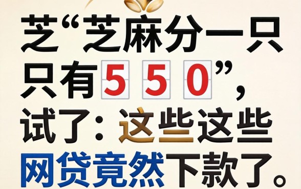 我芝麻分只有550,试了这些网贷竟然下款了