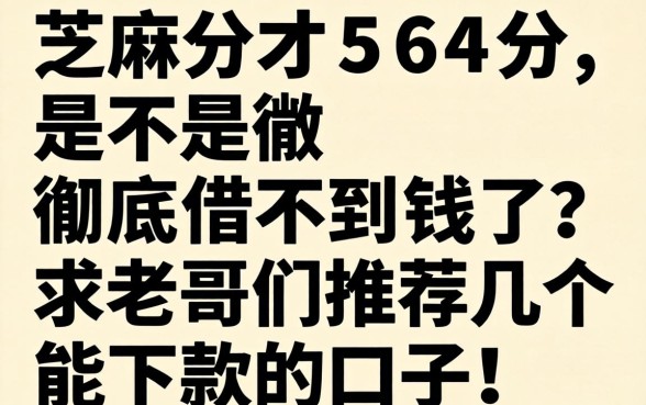 芝麻分才564分，是不是彻底借不到钱了？求老哥们推荐几个能下款的口子！