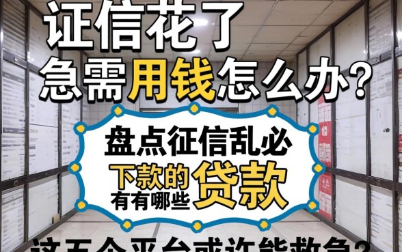 征信花了急需用钱怎么办?盘点征信乱2026必下款的贷款有哪些,这五个平台或许能救急