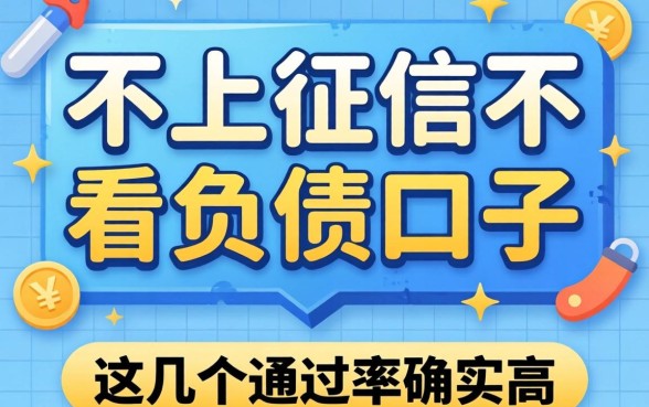 揭秘不上征信不看负债的口子，这几个通过率确实高