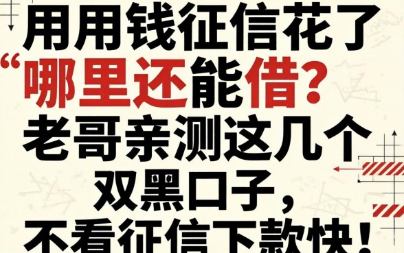 急用钱征信花了哪里还能借？老哥亲测这几个双黑口子，不看征信下款快！