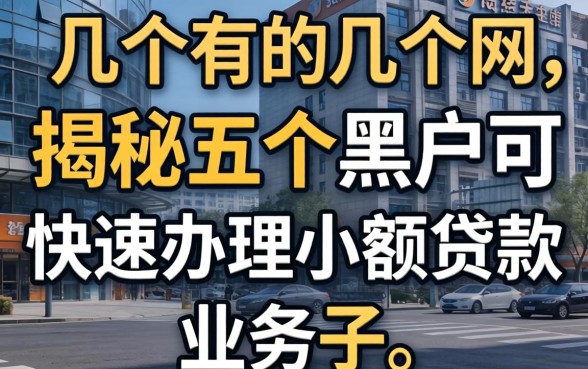 网贷有哪几个，揭秘五个黑户可快速办理小额贷款业务的口子