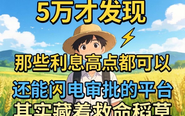我借了5万才发现,那些利息高点都可以还能闪电审批的平台,其实藏着救命稻草
