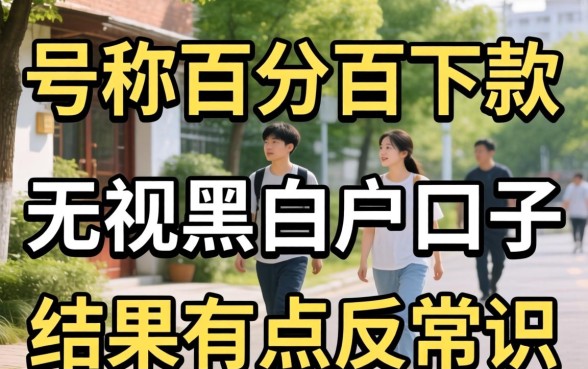 我试了那些号称百分百下款无视黑白户的口子，结果有点反常识