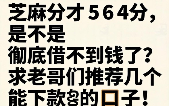 芝麻分才564分，是不是彻底借不到钱了？求老哥们推荐几个能下款的口子！