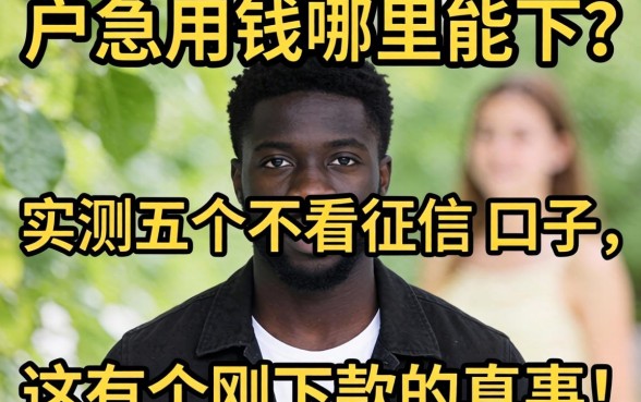 黑户急用钱哪里能下?实测五个不看征信的口子,这有个刚下款的真事!