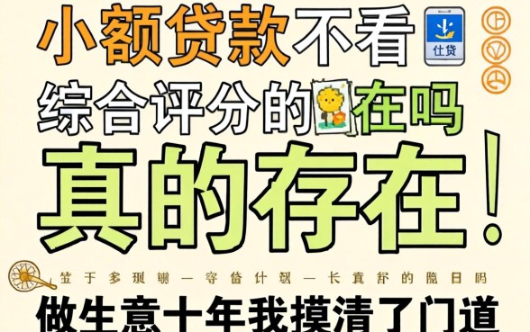 小额贷款不看综合评分的真的存在吗？做生意十年我摸清了门道