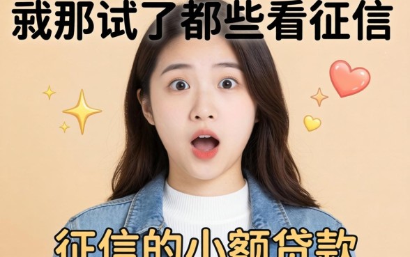我在2026年试了那些不看征信的小额贷款，结果有点意外
