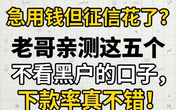 急用钱但征信花了?老哥亲测这五个不看黑户的口子,下款率真不错!