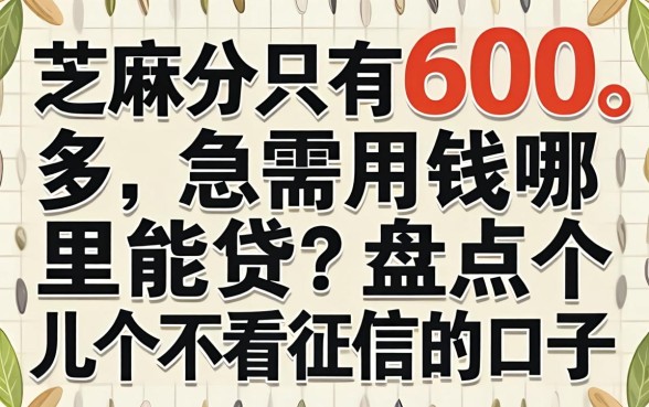 芝麻分只有600多，急需用钱哪里能贷？盘点几个不看征信的口子