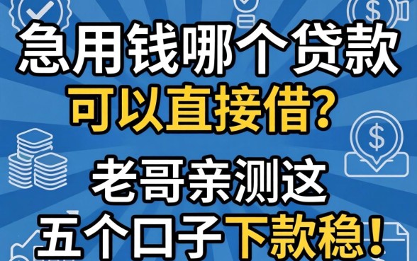 急用钱哪个贷款可以直接借?老哥亲测这五个口子下款稳!