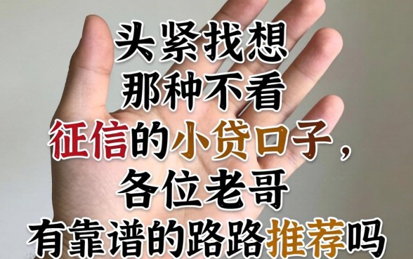 手头紧想找那种不看征信的小贷口子,各位老哥有靠谱的路子推荐吗?
