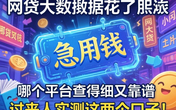 网贷大数据花了急用钱,哪个平台查得细又靠谱?过来人实测这几个口子!