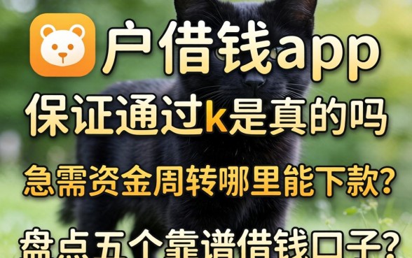 黑户借钱app保证通过k是真的吗?急需资金周转哪里能下款?盘点五个靠谱借钱口子
