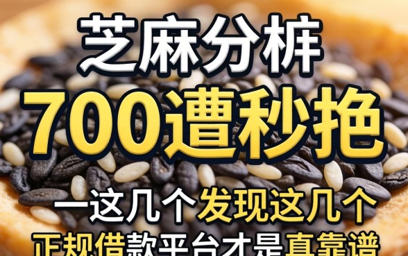 我芝麻分700却遭秒拒，发现这几个正规借款平台才是真靠谱