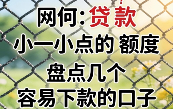 网上如何贷款小一点的额度？盘点几个容易下款的口子