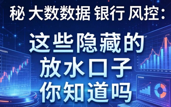 揭秘大数据银行风控:这些隐藏的放水口子你知道吗