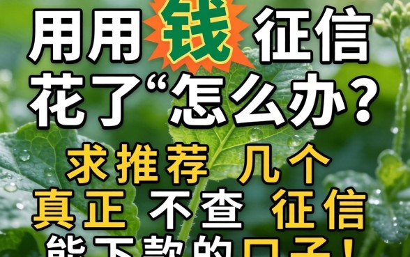 急用钱征信花了怎么办？求推荐几个真正不查征信能下款的口子！
