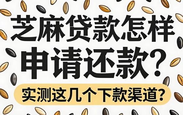 芝麻贷款怎样申请还款?实测这几个下款渠道分享