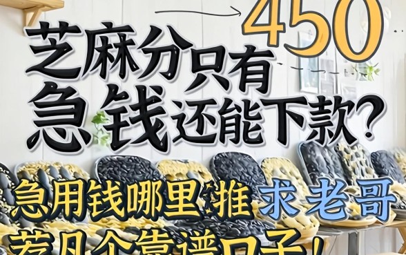 芝麻分只有450，急用钱哪里还能下款？求老哥推荐几个靠谱口子！