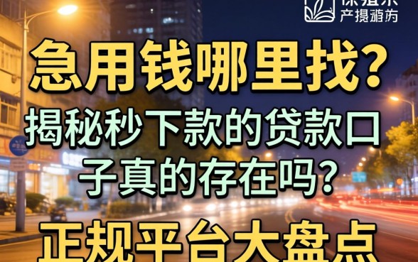 深夜急用钱哪里找?揭秘秒下款的贷款口子真的存在吗?正规平台大盘点
